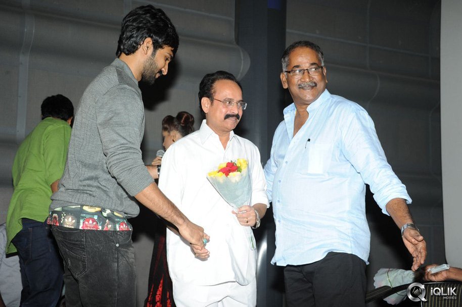 Malupu-Movie-Trailer-Launch